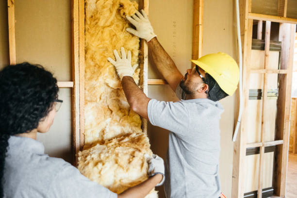 Types of Insulation We Offer in Spring Hill, FL